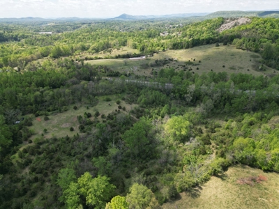 Prime 17± Acre Retreat: Build, Hunt, & Explore Near Rocky Mount - image 6