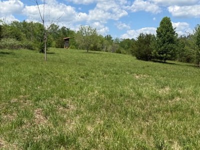 Prime 17± Acre Retreat: Build, Hunt, & Explore Near Rocky Mount - image 16