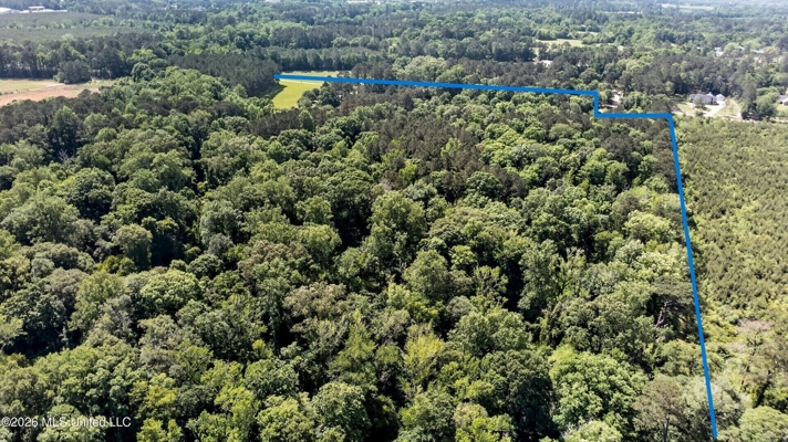 5BR 3.5 BA Home for Sale on 39 Acres of Land in Pike County