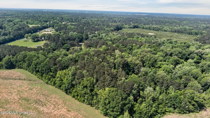 5BR 3.5 BA Home for Sale on 39 Acres of Land in Pike County