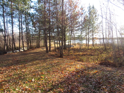 Rustic Waterfront Cabin on Net Lake For Sale in Holyoke, MN - image 2