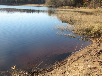 Rustic Waterfront Cabin on Net Lake For Sale in Holyoke, MN - image 5