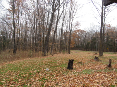Rustic Waterfront Cabin on Net Lake For Sale in Holyoke, MN - image 30