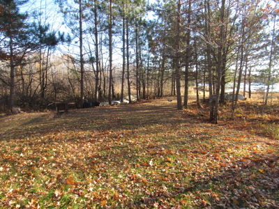 Rustic Waterfront Cabin on Net Lake For Sale in Holyoke, MN - image 32