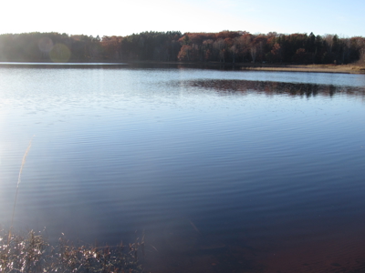 Rustic Waterfront Cabin on Net Lake For Sale in Holyoke, MN - image 6