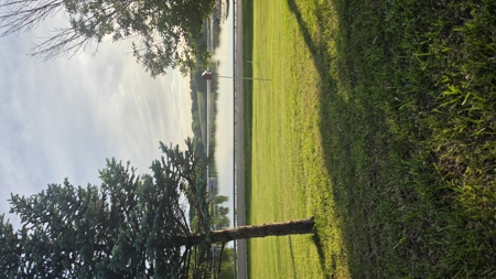 Lake Thunderhead Lots For Sale - image 21