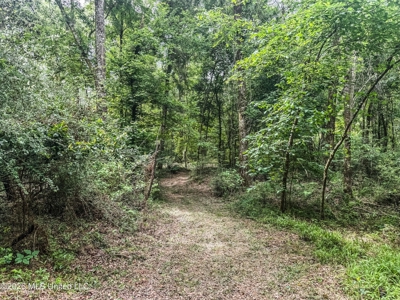 23 Acres of Riverfront Property with Sand Bar and Cabins - image 46