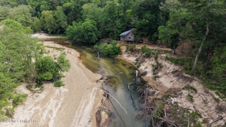 23 Acres of Riverfront Property with Sand Bar and Cabins - image 24