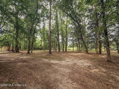 23 Acres of Riverfront Property with Sand Bar and Cabins - image 31