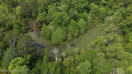 23 Acres of Riverfront Property with Sand Bar and Cabins - image 27