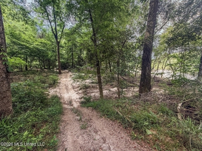 23 Acres of Riverfront Property with Sand Bar and Cabins - image 44