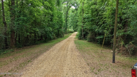 23 Acres of Riverfront Property with Sand Bar and Cabins - image 22