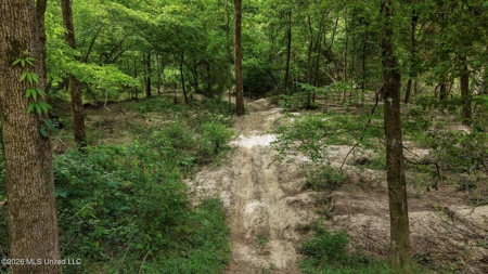 23 Acres of Riverfront Property with Sand Bar and Cabins - image 30