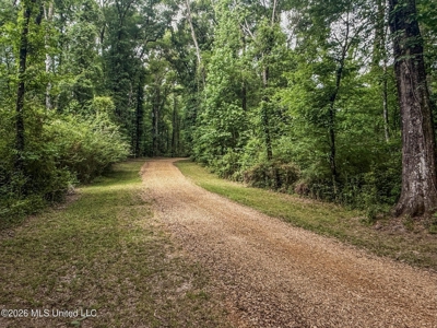 23 Acres of Riverfront Property with Sand Bar and Cabins - image 21