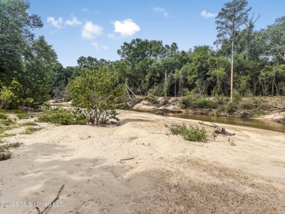 23 Acres of Riverfront Property with Sand Bar and Cabins - image 1