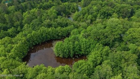 23 Acres of Riverfront Property with Sand Bar and Cabins - image 26