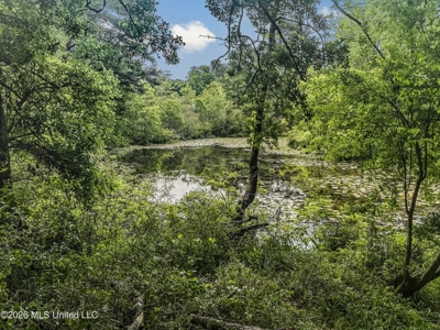 23 Acres of Riverfront Property with Sand Bar and Cabins - image 45