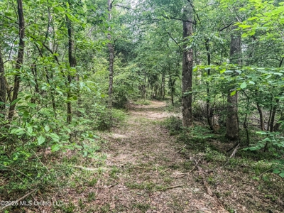 23 Acres of Riverfront Property with Sand Bar and Cabins - image 47
