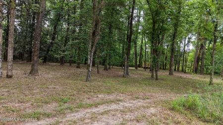 23 Acres of Riverfront Property with Sand Bar and Cabins - image 29