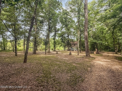 23 Acres of Riverfront Property with Sand Bar and Cabins - image 32