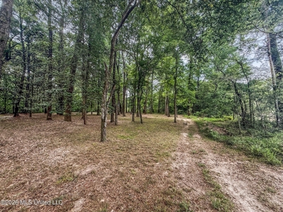 23 Acres of Riverfront Property with Sand Bar and Cabins - image 43