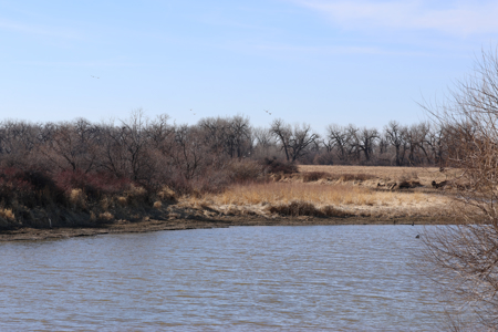 Cottonwood Bend Ranch | Milk River | Montana - image 16