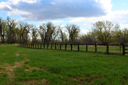 Cottonwood Bend Ranch | Milk River | Montana - image 3