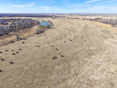 Cottonwood Bend Ranch | Milk River | Montana - image 8