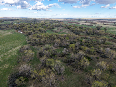 Cottonwood Bend Ranch | Milk River | Montana - image 41