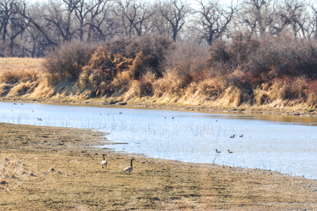 Cottonwood Bend Ranch | Milk River | Montana - image 4