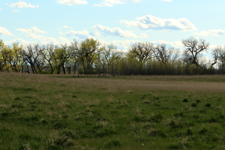 Cottonwood Bend Ranch | Milk River | Montana - image 13