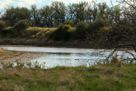 Cottonwood Bend Ranch | Milk River | Montana - image 11