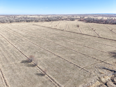 Cottonwood Bend Ranch | Milk River | Montana - image 7