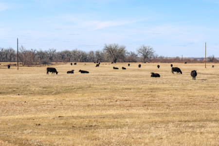 Cottonwood Bend Ranch | Milk River | Montana - image 14