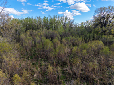 Cottonwood Bend Ranch | Milk River | Montana - image 33