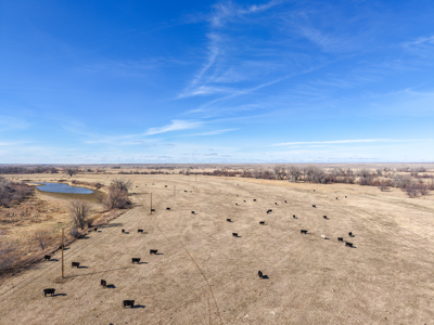 Cottonwood Bend Ranch | Milk River | Montana - image 21