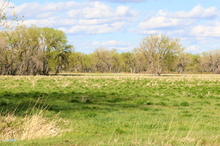 Cottonwood Bend Ranch | Milk River | Montana - image 1