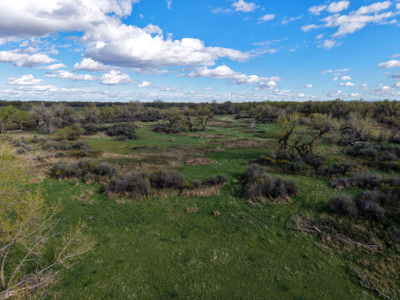 Cottonwood Bend Ranch | Milk River | Montana - image 31