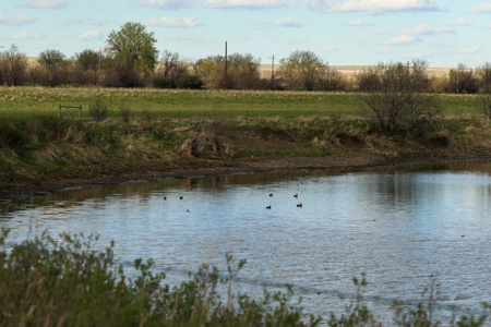 Cottonwood Bend Ranch | Milk River | Montana - image 15