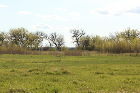 Cottonwood Bend Ranch | Milk River | Montana - image 17