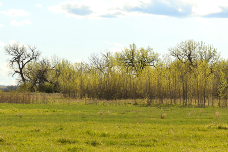 Cottonwood Bend Ranch | Milk River | Montana - image 16