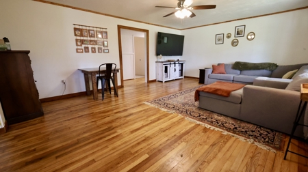 Remodeled Home And Land For Sale In North Central Arkansas - image 4