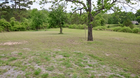 Remodeled Home And Land For Sale In North Central Arkansas - image 18