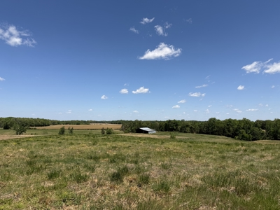 Pasture Land For Sale In Tn, Big Hay Barn, Branch, Fencing - image 4