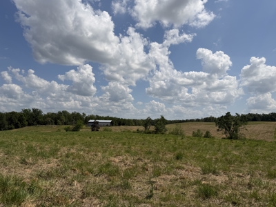 Pasture Land For Sale In Tn, Big Hay Barn, Branch, Fencing - image 19