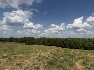Pasture Land For Sale In Tn, Big Hay Barn, Branch, Fencing - image 27