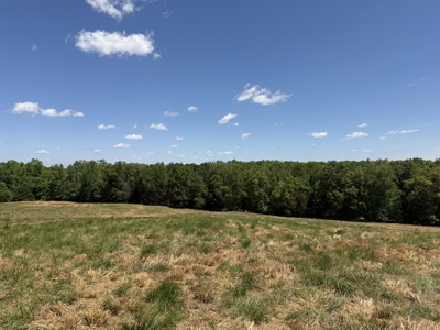 Pasture Land For Sale In Tn, Big Hay Barn, Branch, Fencing - image 39