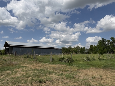 Pasture Land For Sale In Tn, Big Hay Barn, Branch, Fencing - image 10