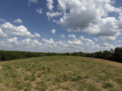 Pasture Land For Sale In Tn, Big Hay Barn, Branch, Fencing - image 46