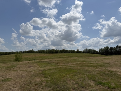 Pasture Land For Sale In Tn, Big Hay Barn, Branch, Fencing - image 23